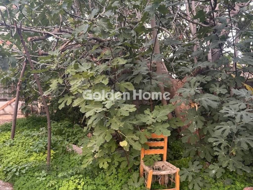 Κυρίως Χώρος