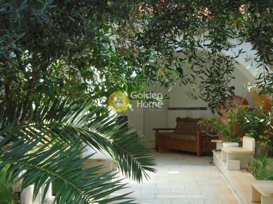 Εξωτερικός Χώρος