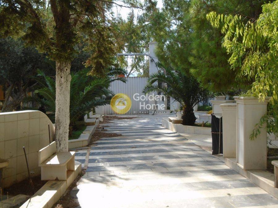 Εξωτερικός Χώρος