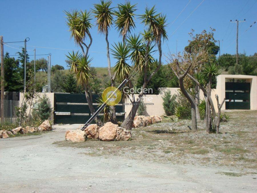 Εξωτερικός Χώρος