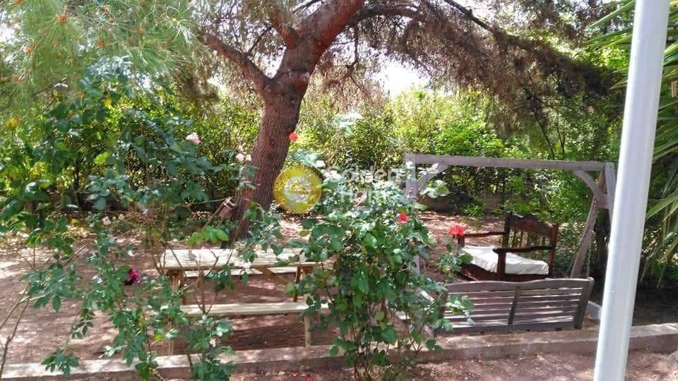 Εξωτερικός Χώρος