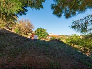 Εξωτερικοι χώροι