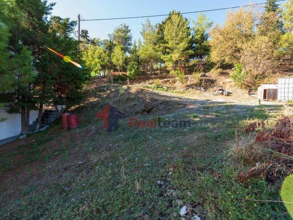 Εξωτερικοι χώροι