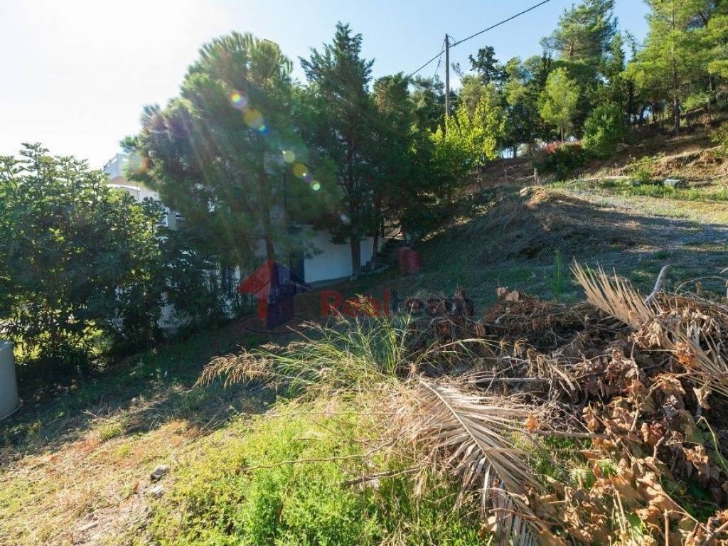 Εξωτερικοι χώροι