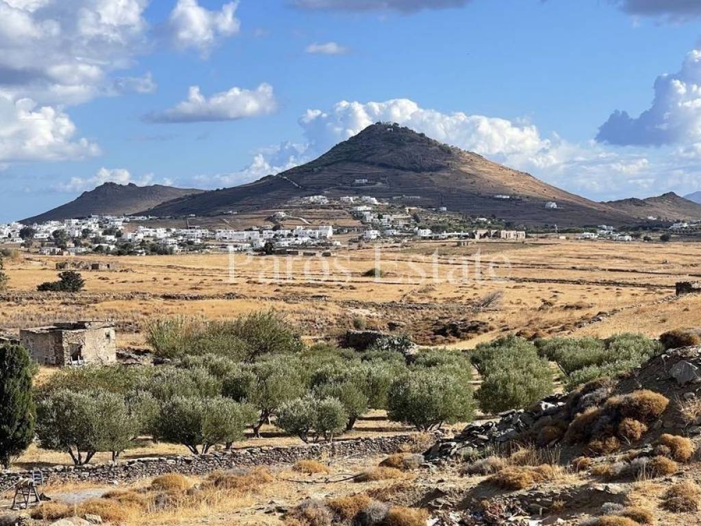 Θέα από το αγροτεμάχιο