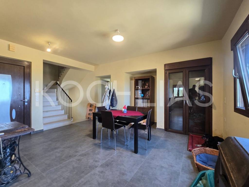 Ύπαρξη ανθρώπου