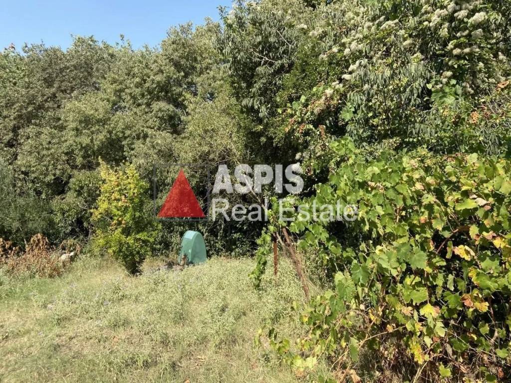 Εξωτερικοι χώροι