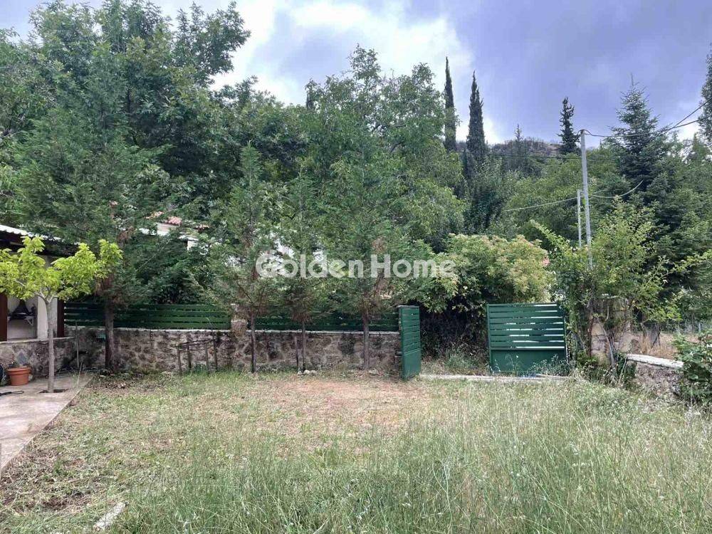 Εξωτερικός Χώρος