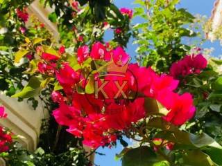 Ύπαρξη ανθρώπου