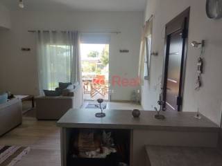 Σαλοκουζίνα