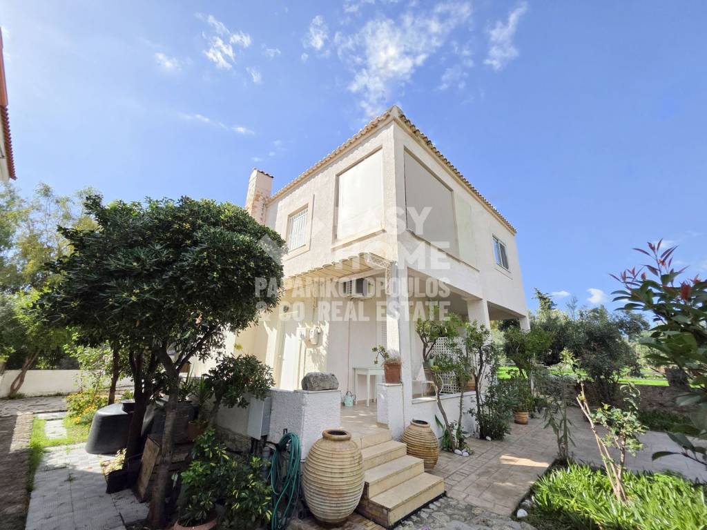 Εξωτερικοι χώροι