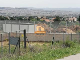 Αμφιθέα, Αγροτεμάχιο, 5.100 τ.μ.