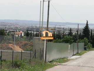 Αμφιθέα, Αγροτεμάχιο, 5.100 τ.μ.