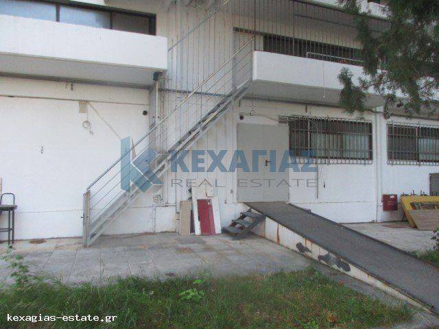 ΟΠΙΣΘΙΑ ΟΨΗ