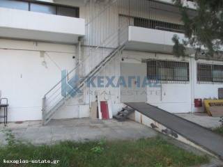 ΟΠΙΣΘΙΑ ΟΨΗ