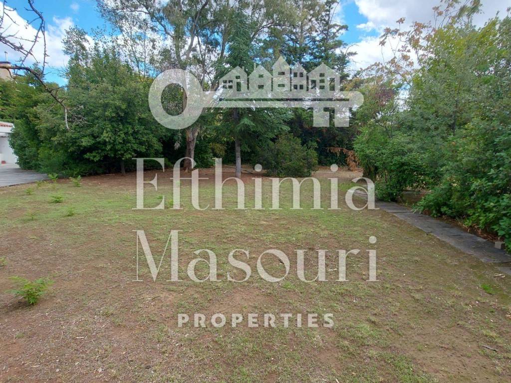 Εξωτερικοι χώροι