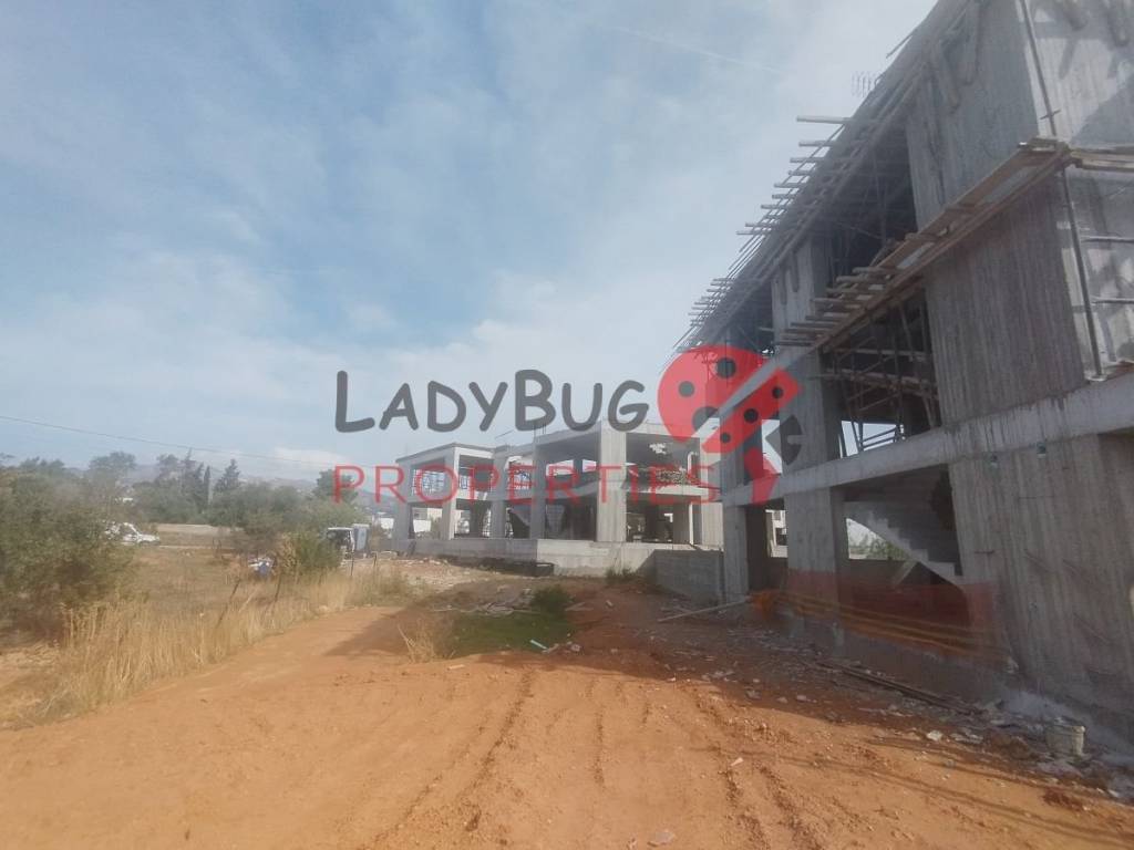 Ύπαρξη ανθρώπου