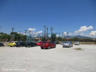 ΕΞΩΤΕΡΙΚΗ ΛΗΨΗ