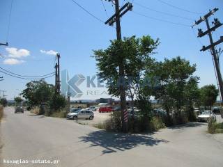 ΕΞΩΤΕΡΙΚΗ ΛΗΨΗ