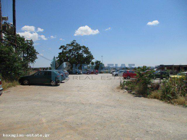 ΕΞΩΤΕΡΙΚΗ ΛΗΨΗ