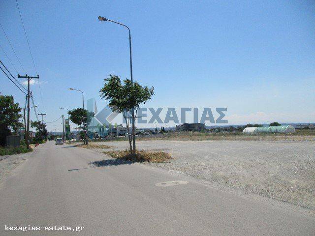 ΕΞΩΤΕΡΙΚΗ ΛΗΨΗ