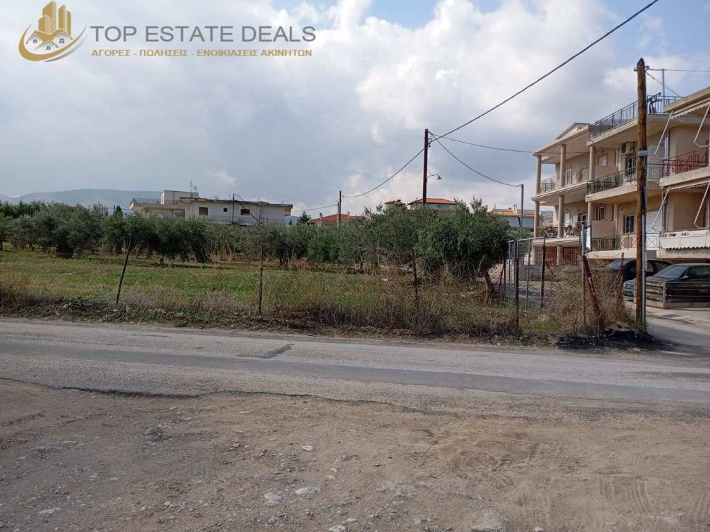 Άποψη του περιφραγμένου οικοπέδου