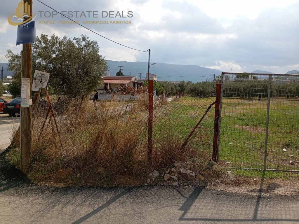 Περιφραγμένο οικόπεδο στην συμβολή 2 κοινοτικών δρόμων