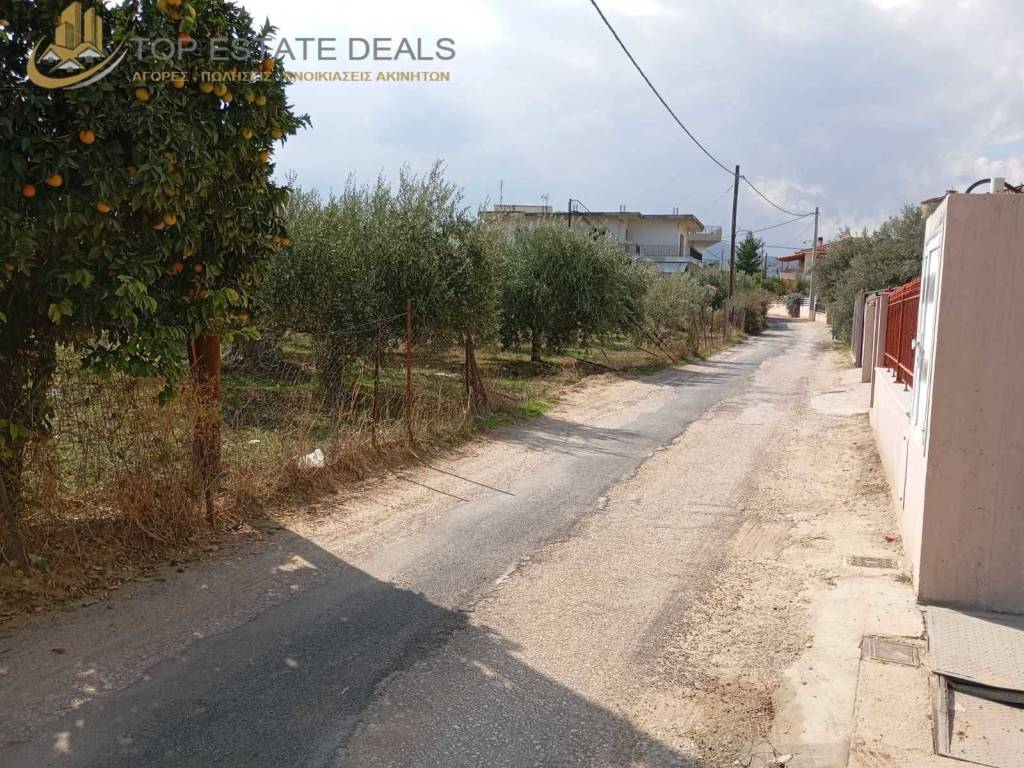 Στα αριστερά το οικόπεδο