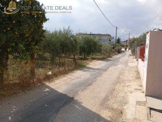 Στα αριστερά το οικόπεδο