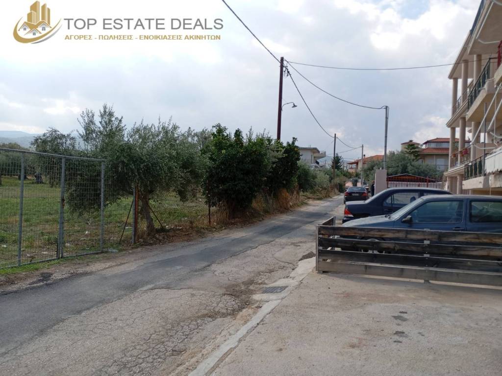 Απέναντι από το οικόπεδο