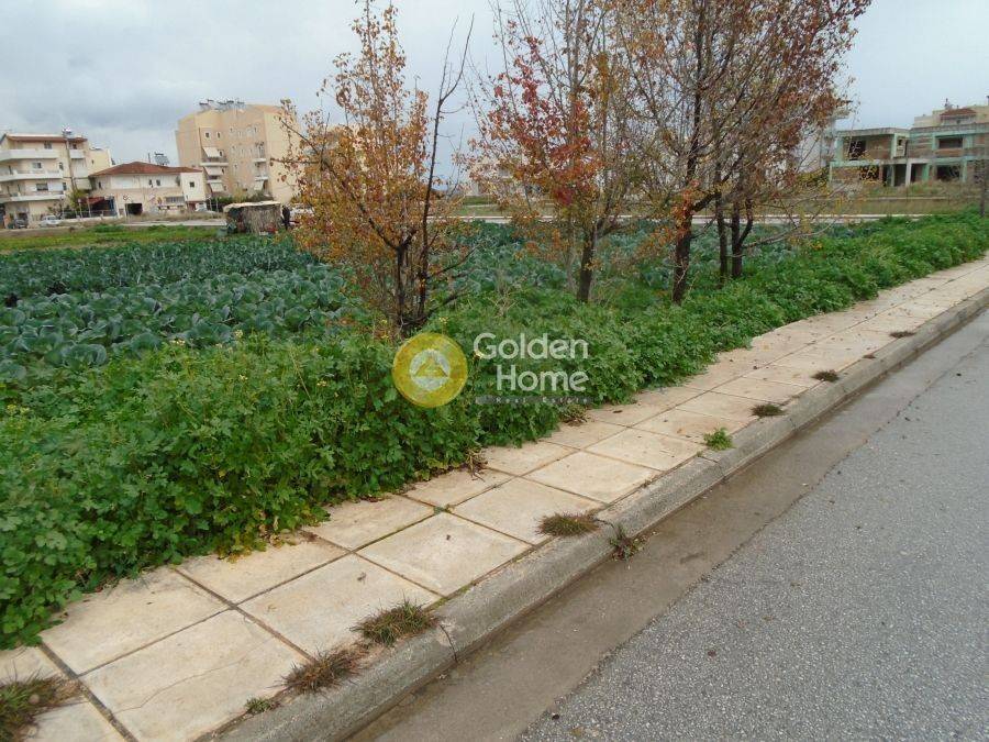 Εξωτερικός Χώρος