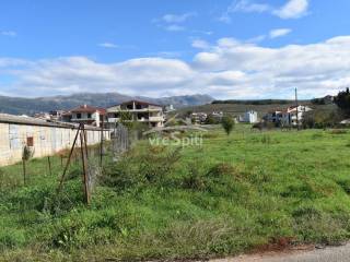 ΑΠΟΨΗ ΟΙΚΟΠΕΔΟΥ