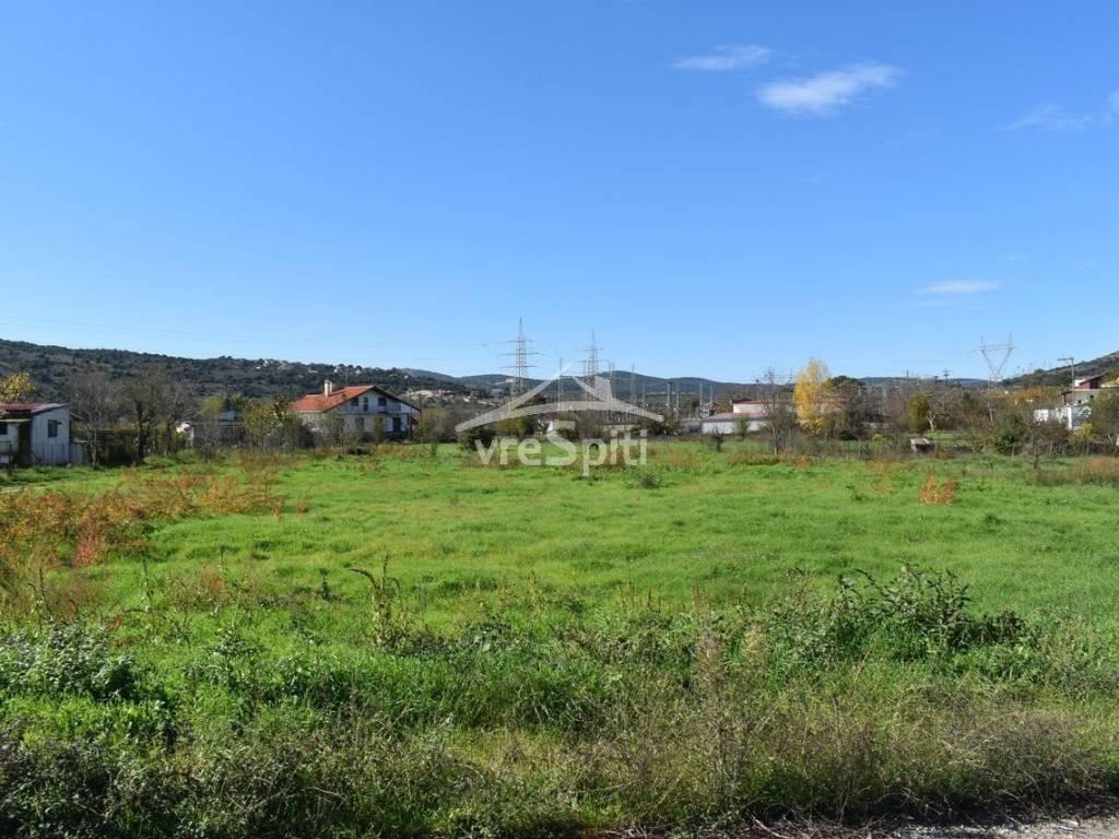 ΑΠΟΨΗ ΟΙΚΟΠΕΔΟΥ