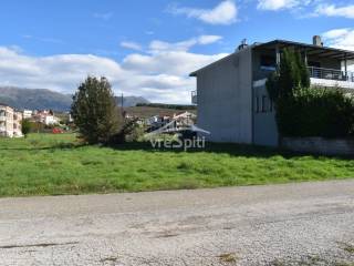 ΑΠΟΨΗ ΟΙΚΟΠΕΔΟΥ