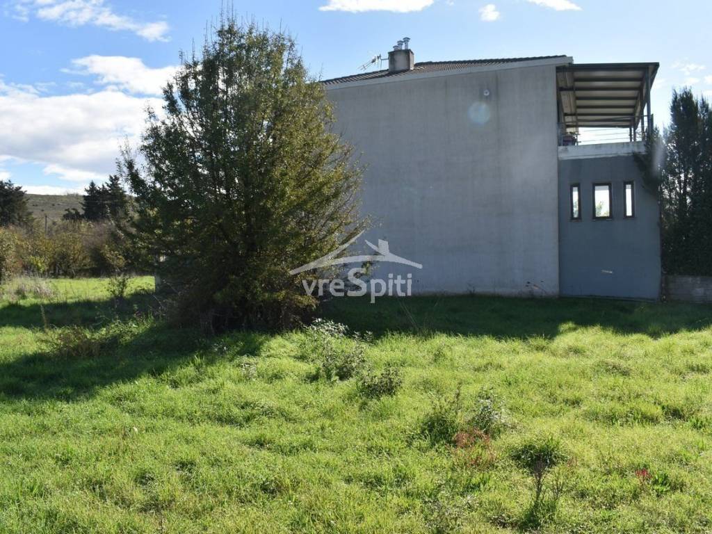 ΑΠΟΨΗ ΟΙΚΟΠΕΔΟΥ