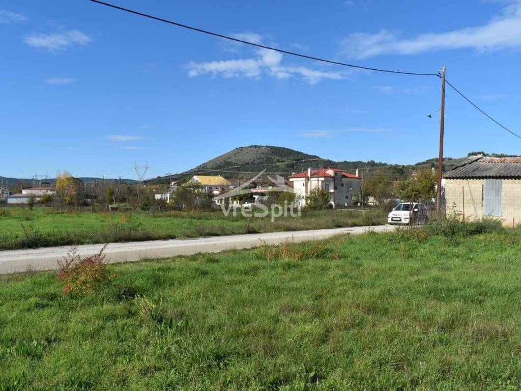 ΑΠΟΨΗ ΟΙΚΟΠΕΔΟΥ