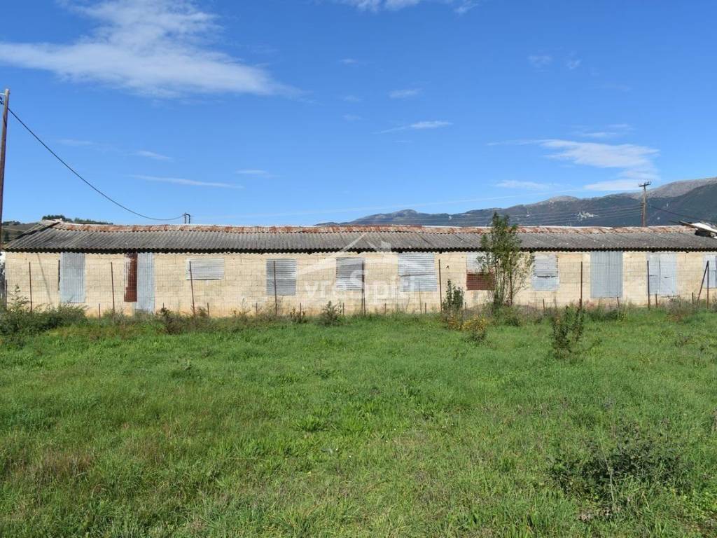 ΑΠΟΨΗ ΟΙΚΟΠΕΔΟΥ