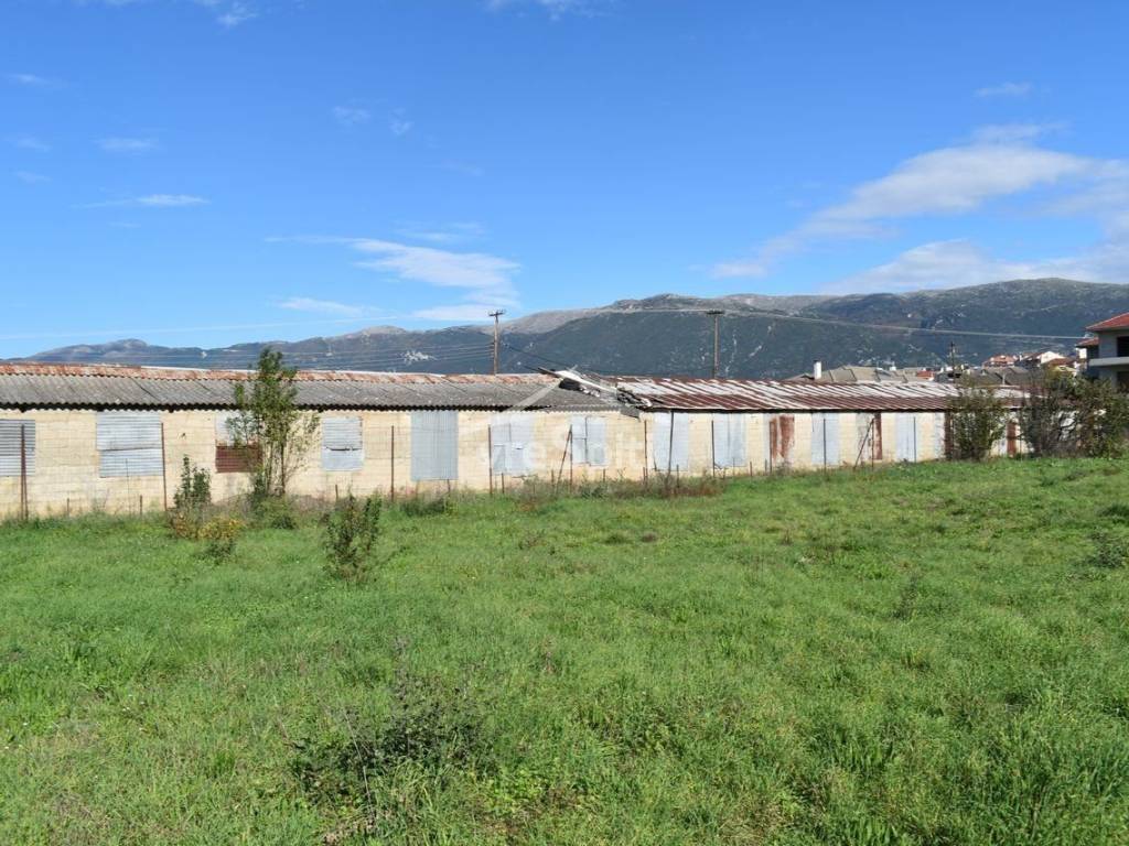 ΑΠΟΨΗ ΟΙΚΟΠΕΔΟΥ