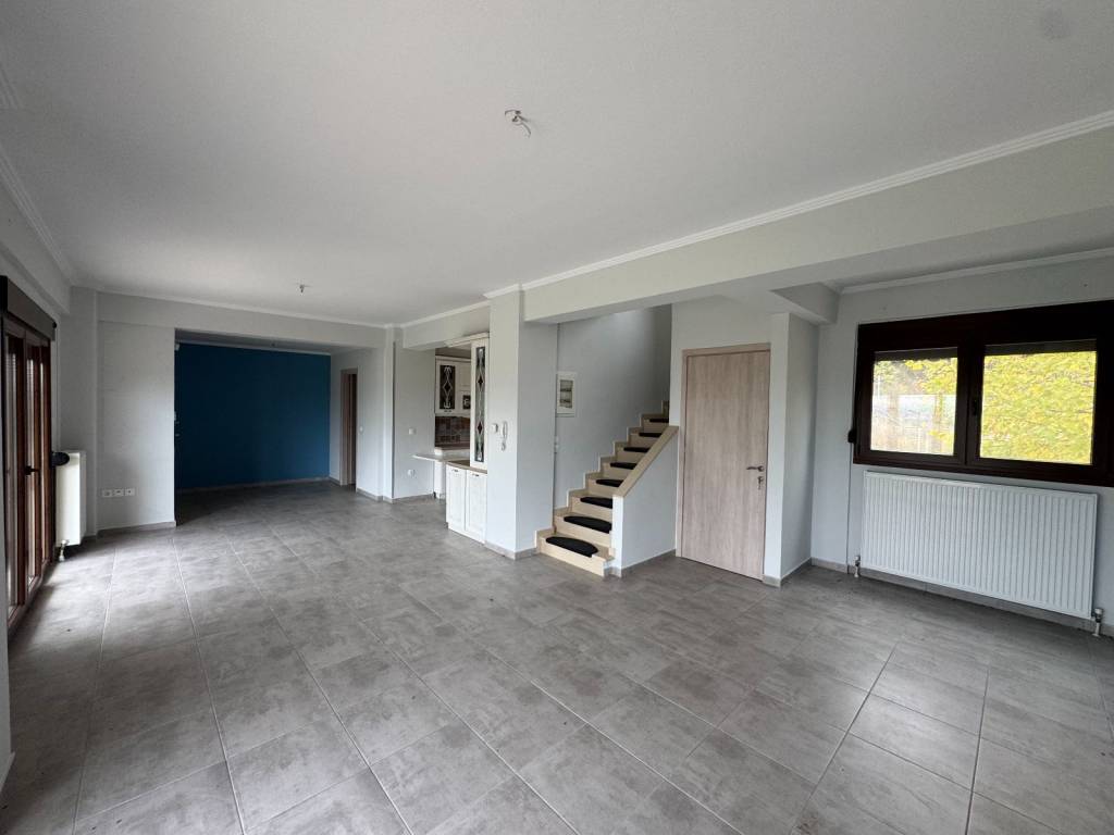 Saloni,koyzina,isogeio