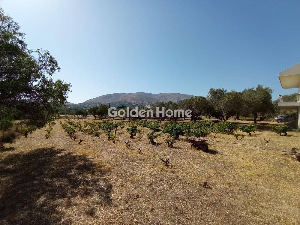 Κυρίως Χώρος