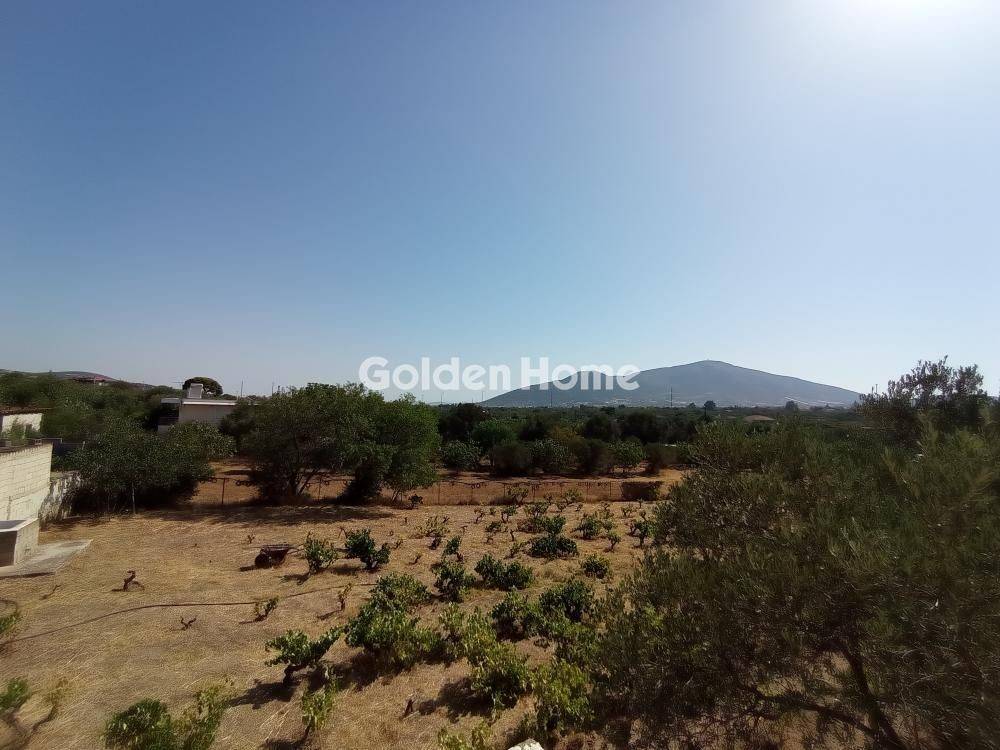 Κυρίως Χώρος