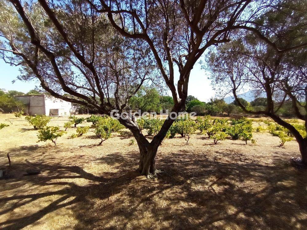 Κυρίως Χώρος