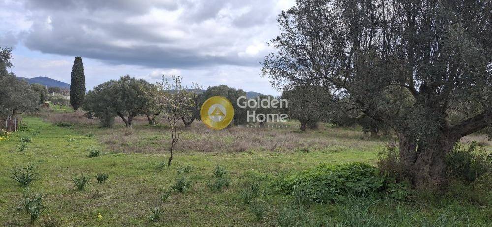 Εξωτερικός Χώρος