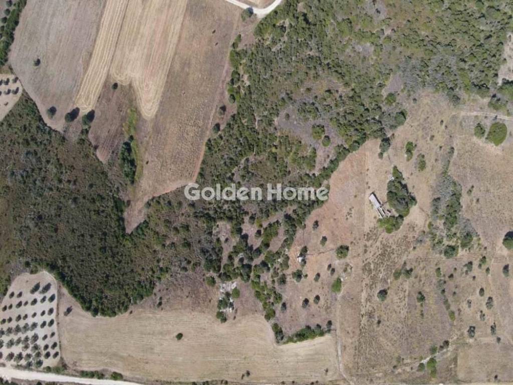 Εξωτερικός Χώρος