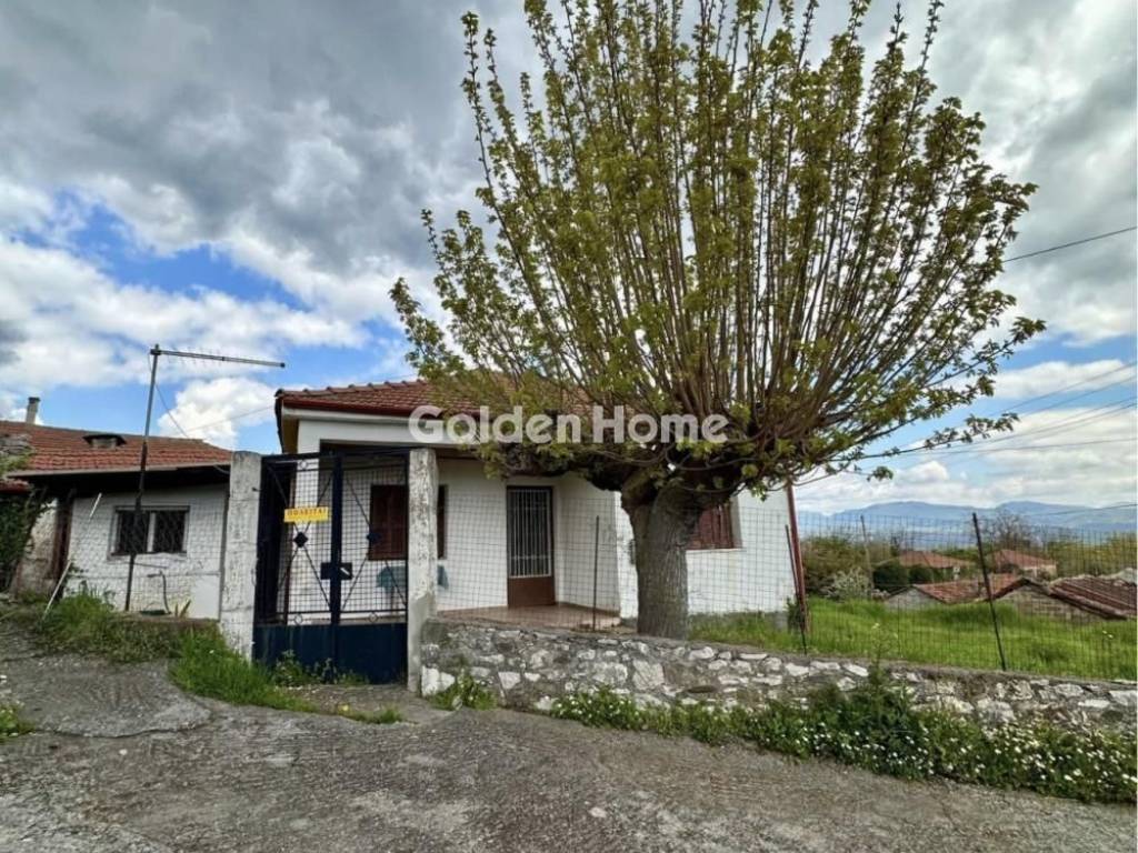 Κυρίως Χώρος