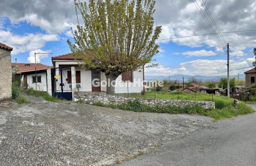 Κυρίως Χώρος