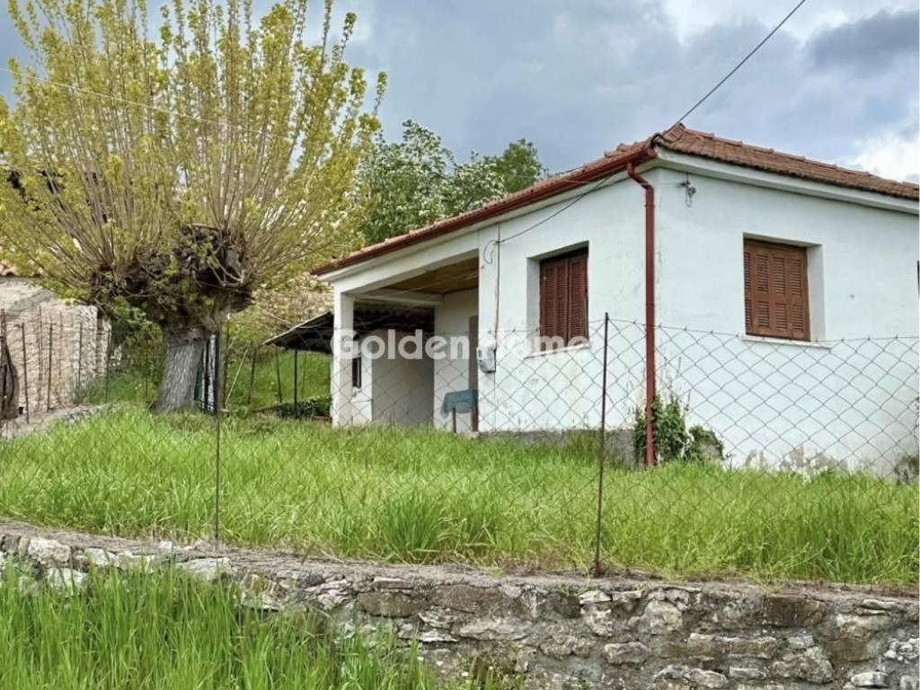 Κυρίως Χώρος