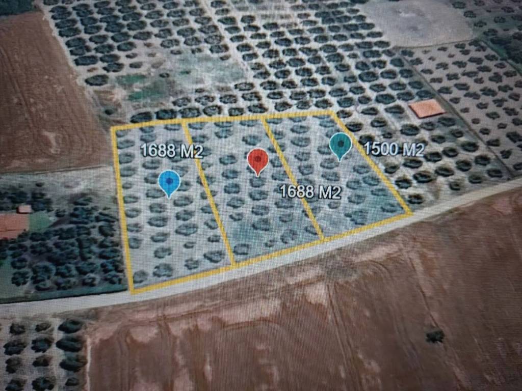 ANYPLACE MESITIKES YPERESIES