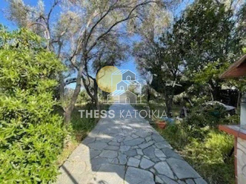 Ύπαρξη ανθρώπου