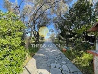 Ύπαρξη ανθρώπου